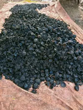 carbonization